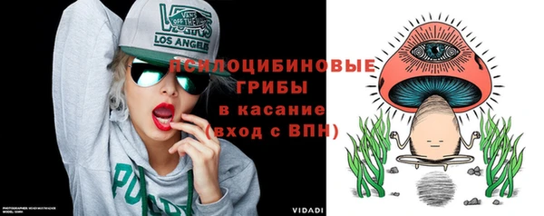 ГАЛЛЮЦИНОГЕННЫЕ ГРИБЫ Верхнеуральск