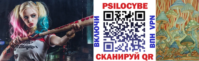 Псилоцибиновые грибы мухоморы  Купить закладки  Азов 